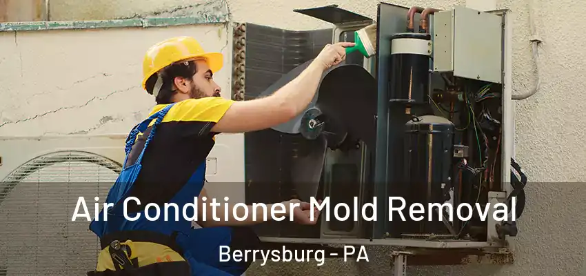  Air Conditioner Mold Removal Berrysburg - PA