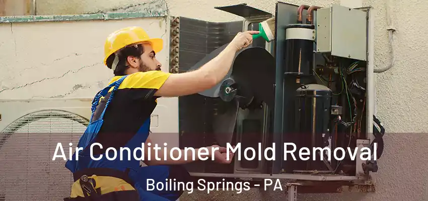 Air Conditioner Mold Removal Boiling Springs - PA