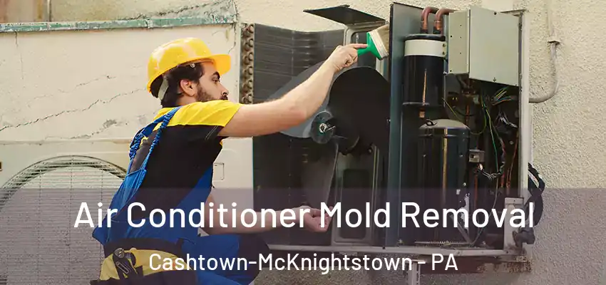  Air Conditioner Mold Removal Cashtown-McKnightstown - PA