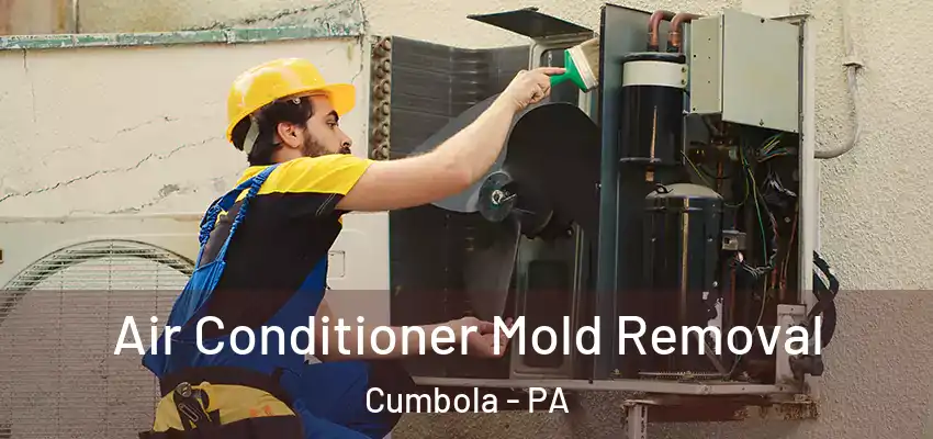  Air Conditioner Mold Removal Cumbola - PA