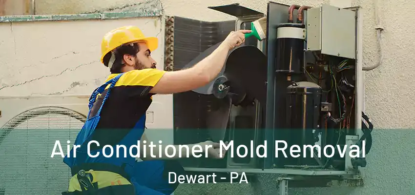  Air Conditioner Mold Removal Dewart - PA