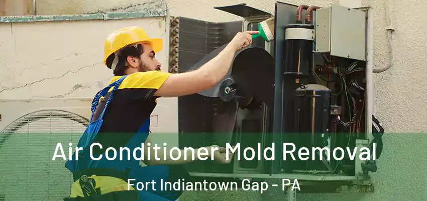 Air Conditioner Mold Removal Fort Indiantown Gap - PA