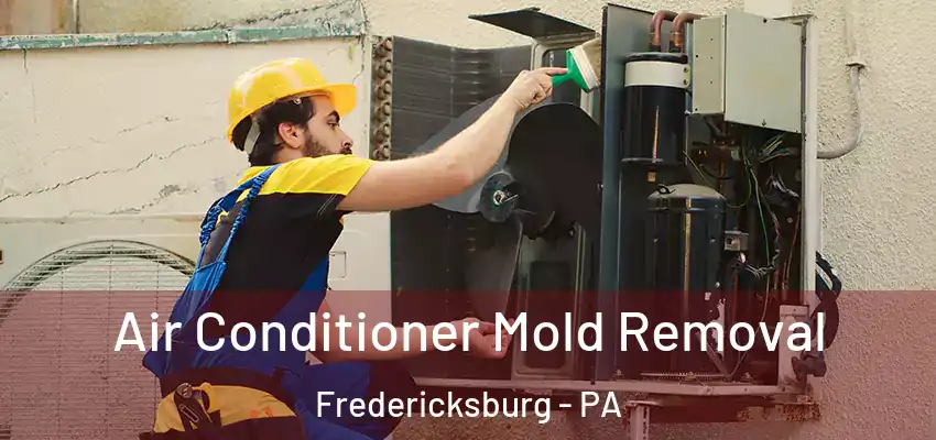  Air Conditioner Mold Removal Fredericksburg - PA