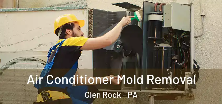 Air Conditioner Mold Removal Glen Rock - PA
