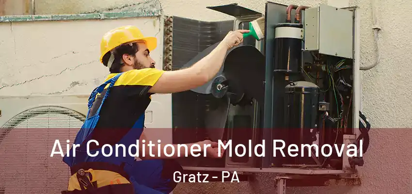 Air Conditioner Mold Removal Gratz - PA