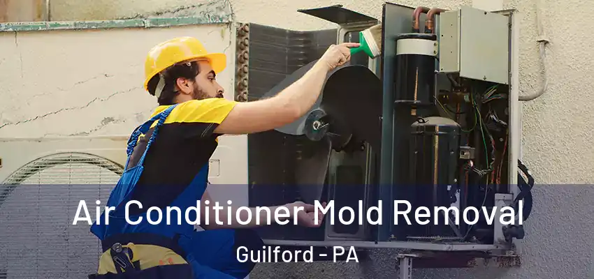 Air Conditioner Mold Removal Guilford - PA