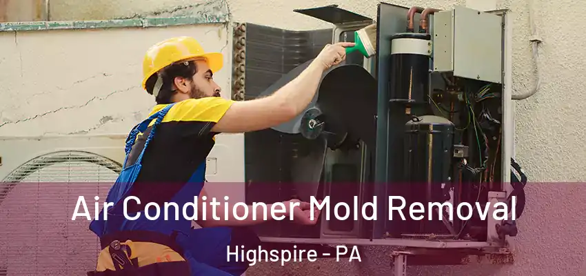 Air Conditioner Mold Removal Highspire - PA
