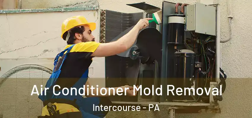 Air Conditioner Mold Removal Intercourse - PA