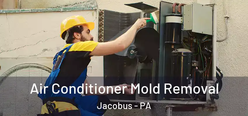  Air Conditioner Mold Removal Jacobus - PA