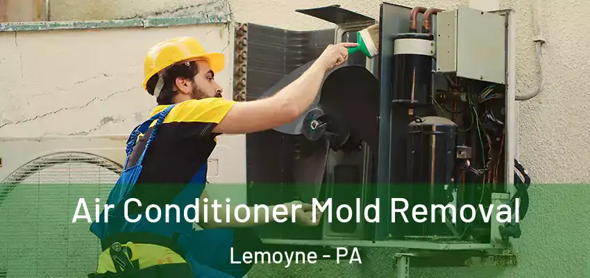Air Conditioner Mold Removal Lemoyne - PA