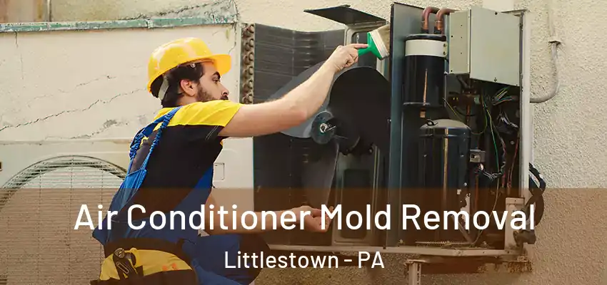  Air Conditioner Mold Removal Littlestown - PA