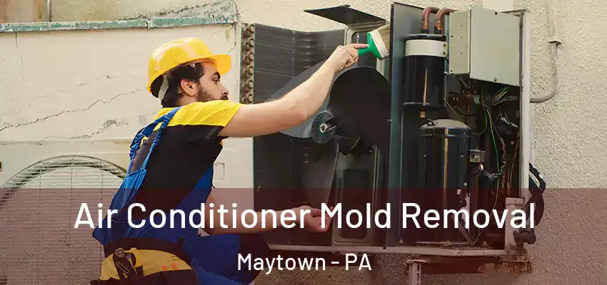 Air Conditioner Mold Removal Maytown - PA