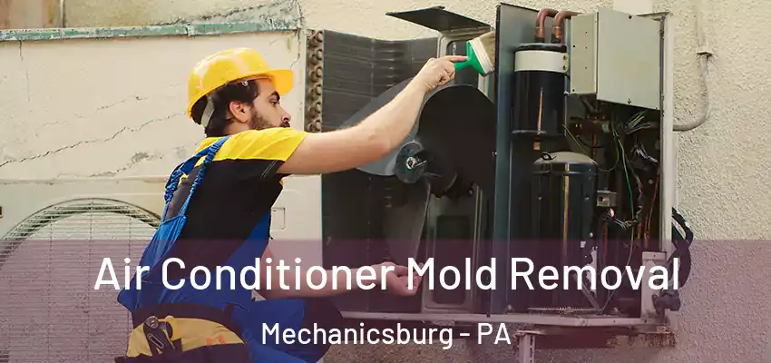  Air Conditioner Mold Removal Mechanicsburg - PA
