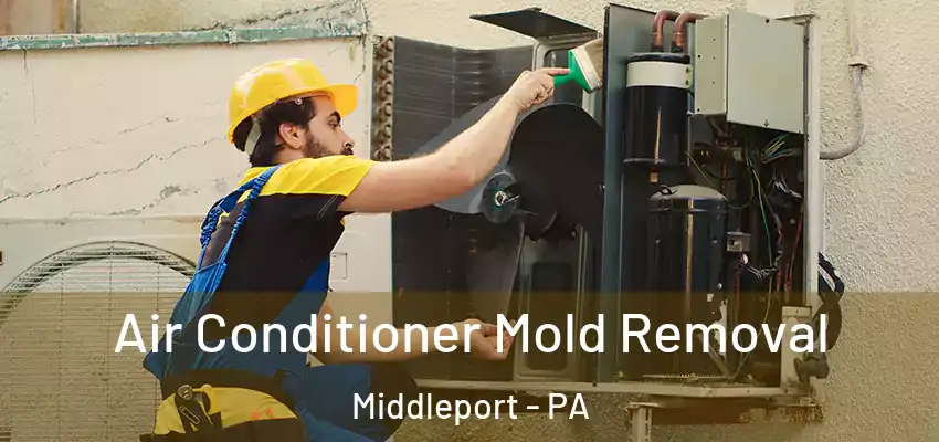  Air Conditioner Mold Removal Middleport - PA