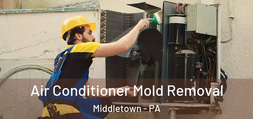 Air Conditioner Mold Removal Middletown - PA