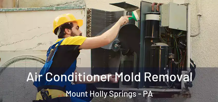  Air Conditioner Mold Removal Mount Holly Springs - PA