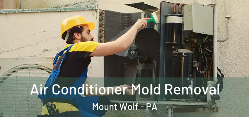 Air Conditioner Mold Removal Mount Wolf - PA