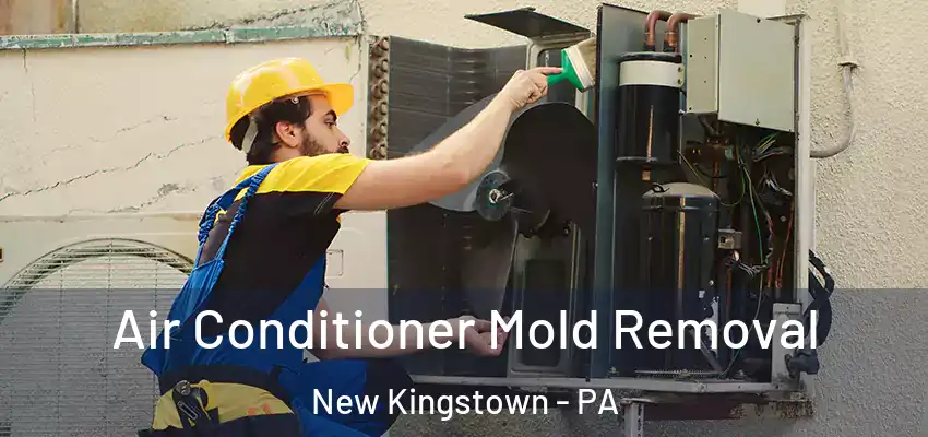 Air Conditioner Mold Removal New Kingstown - PA