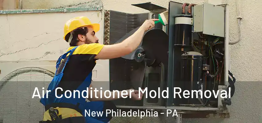 Air Conditioner Mold Removal New Philadelphia - PA