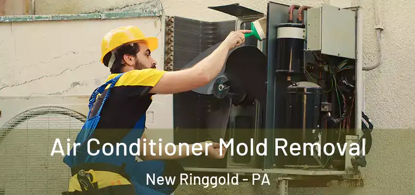 Air Conditioner Mold Removal New Ringgold - PA