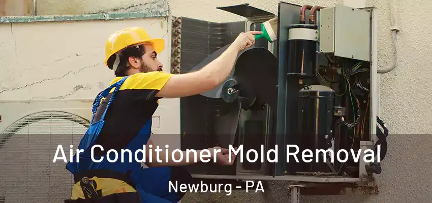  Air Conditioner Mold Removal Newburg - PA