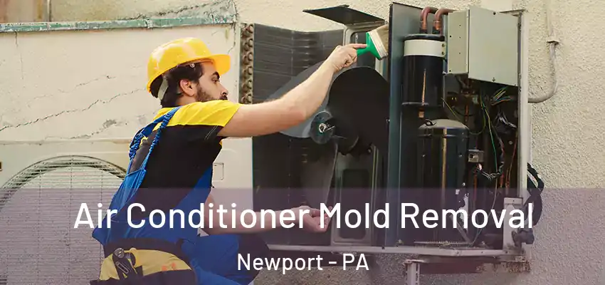 Air Conditioner Mold Removal Newport - PA
