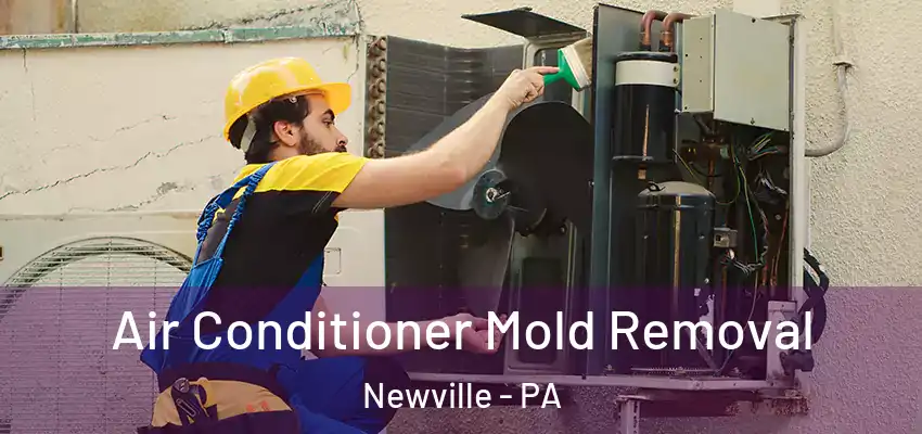  Air Conditioner Mold Removal Newville - PA