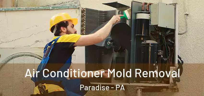 Air Conditioner Mold Removal Paradise - PA