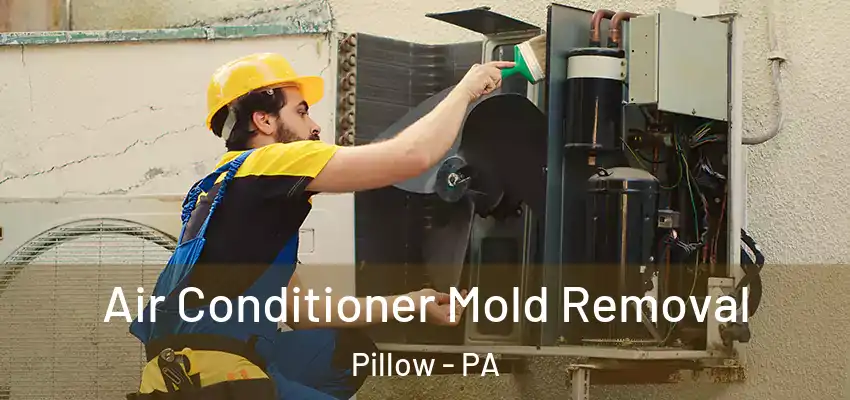  Air Conditioner Mold Removal Pillow - PA