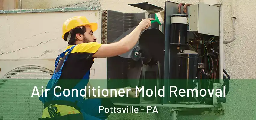 Air Conditioner Mold Removal Pottsville - PA