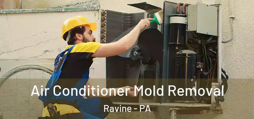  Air Conditioner Mold Removal Ravine - PA