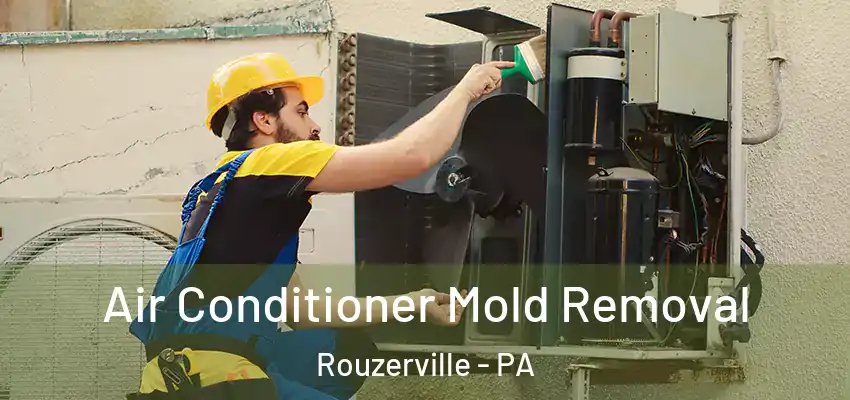 Air Conditioner Mold Removal Rouzerville - PA