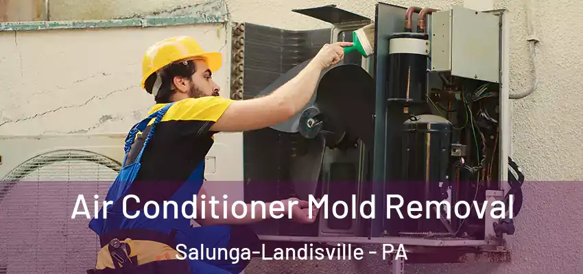  Air Conditioner Mold Removal Salunga-Landisville - PA