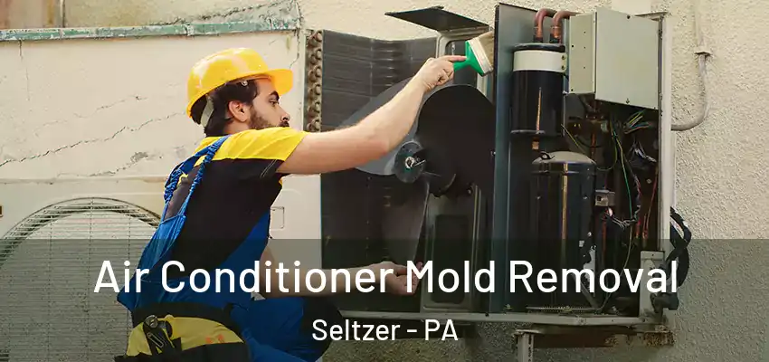  Air Conditioner Mold Removal Seltzer - PA