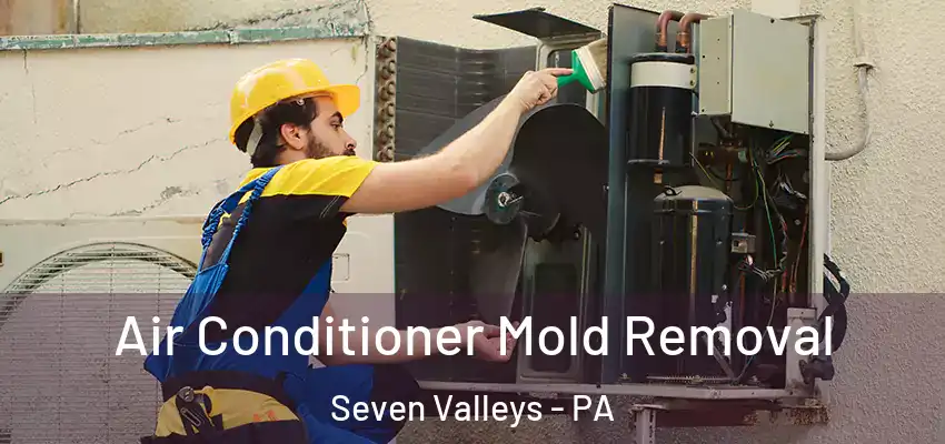  Air Conditioner Mold Removal Seven Valleys - PA