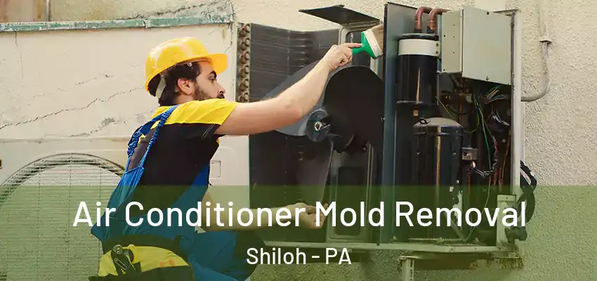 Air Conditioner Mold Removal Shiloh - PA