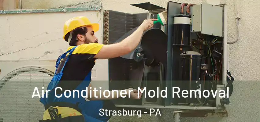 Air Conditioner Mold Removal Strasburg - PA