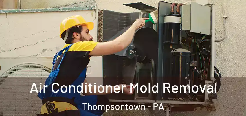  Air Conditioner Mold Removal Thompsontown - PA