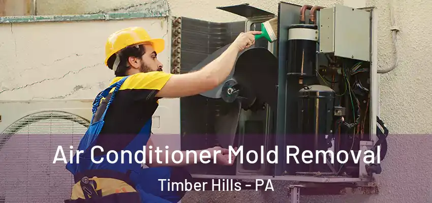 Air Conditioner Mold Removal Timber Hills - PA