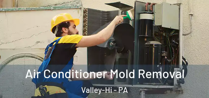  Air Conditioner Mold Removal Valley-Hi - PA
