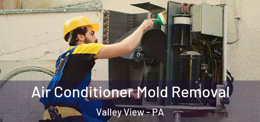  Air Conditioner Mold Removal Valley View - PA