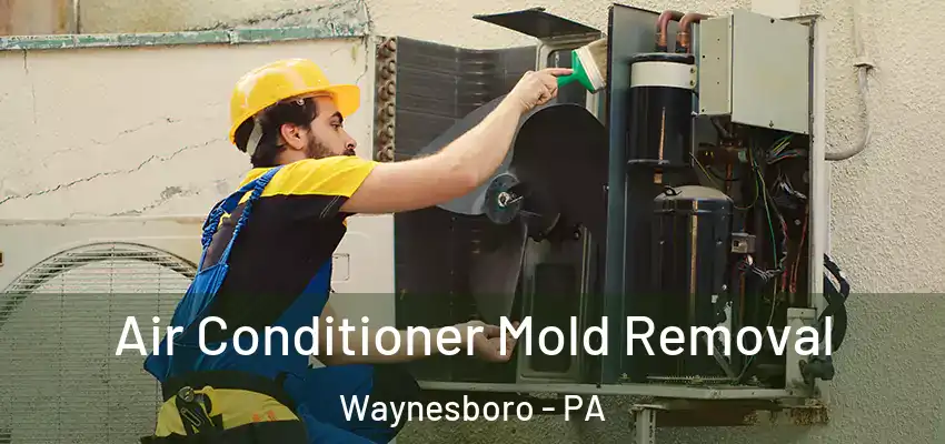 Air Conditioner Mold Removal Waynesboro - PA