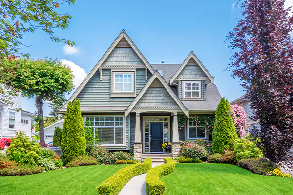 Black Mold Clean Up in Tremont, PA