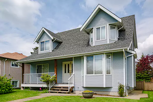 Black Mold Mitigation in Tremont, PA