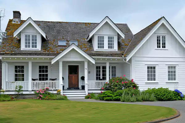 Mold Removal Services in Tremont, PA