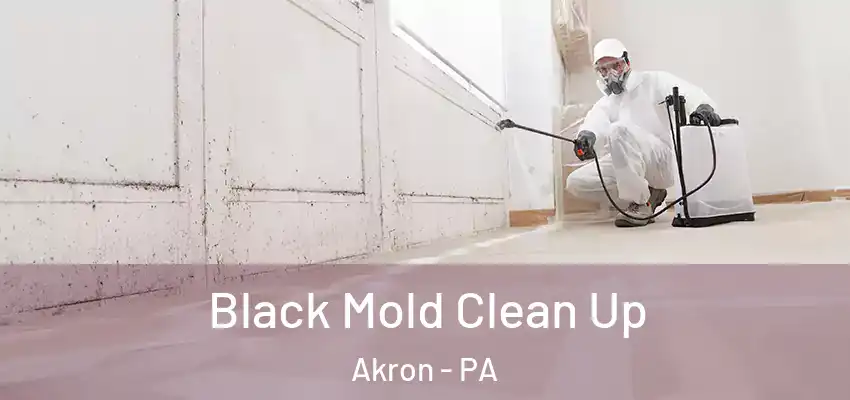 Black Mold Clean Up Akron - PA