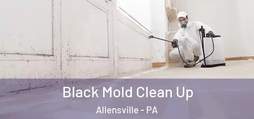 Black Mold Clean Up Allensville - PA