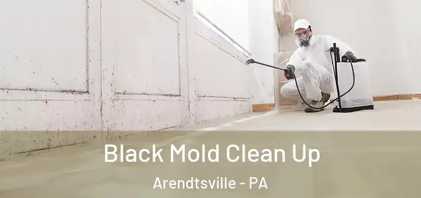  Black Mold Clean Up Arendtsville - PA