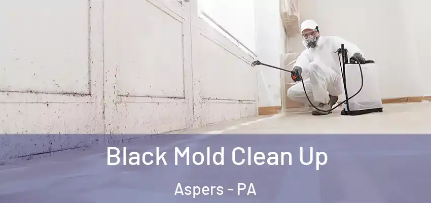Black Mold Clean Up Aspers - PA