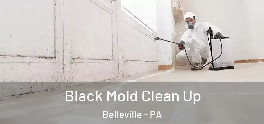  Black Mold Clean Up Belleville - PA